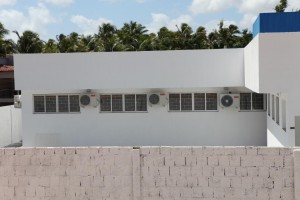 IMG_3624