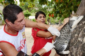 abertura-da-vacina-contra-raiva-em-marechal-deodoro-3-4-2017-foto-olival-santos-32-1