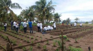 faz-esperanca-4