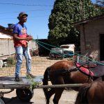 Cavalgada do Trabalhador 2025 (11)
